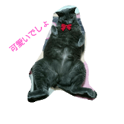 Mrs.MOMOKO vol.2 Mrs.MOMOKO vol.2