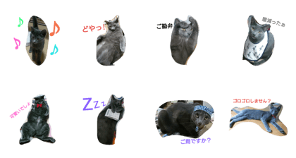 Mrs.MOMOKO vol.2 Mrs.MOMOKO vol.2