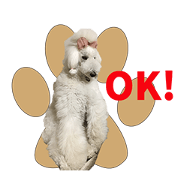 SHIROINU Sticker vol.2 SHIROINU Sticker vol.2