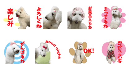 SHIROINU Sticker vol.2 SHIROINU Sticker vol.2