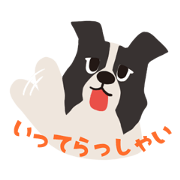 BARON BUDDIES 24 Border Collie