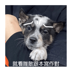 spot跟他爸