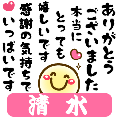 Simple smile Big stickers "Shimizu"