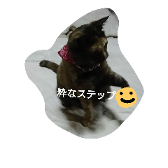 My cat Natsumi part3