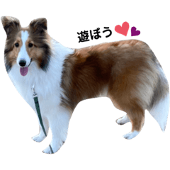 Asako_20210409222625