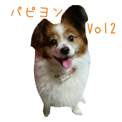 Hello! I'm a funny Papillon! Vol2