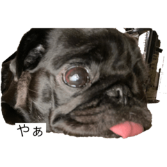 mitsuki_20210409183825