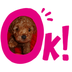 Cocoa_20210409213217