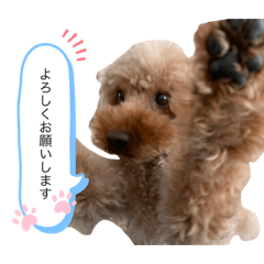 cocoa_20210409231149