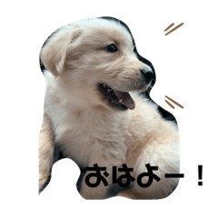 vivi_20210409214427