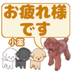Kogusuri's. letters toy poodle