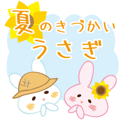 summer consideration rabbit