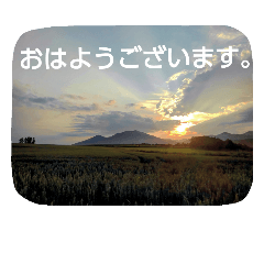 furano's summer landscape
