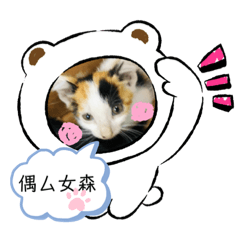 喵喵三寶❤️