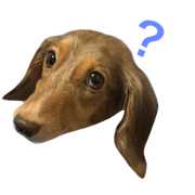 Sticker of a dog.