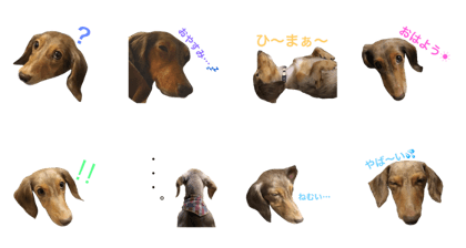 Sticker of a dog.