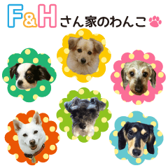 F&H's house Sticker