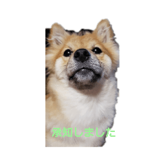 mimi_20210410092619