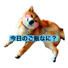 asako_20210410085540