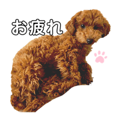 HIYORI_20210410123007