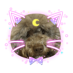 Cherry_20210410120148