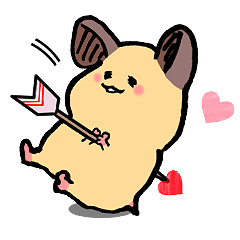 Chibitan is a kinkuma hamster