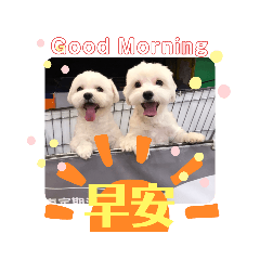 瑪爾心肝寶貝們
