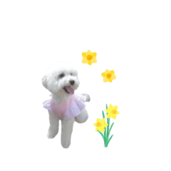 chibimalu