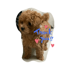 ayumi_20210410164836