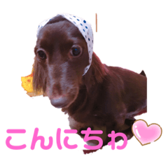 choco_20210410161513