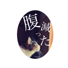 narai_20210410163512