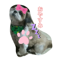Rina_20210410174325