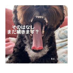 kuu_20210410205101