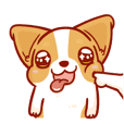 Corgi Dog Kaka - animated sticker vol. 2