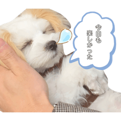 cocoa_20210410232133