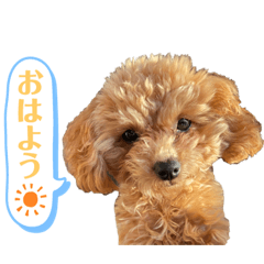 KOKORO-stamp