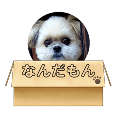 Alice_20210410233145