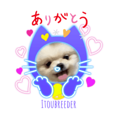 Ito breeder's cute doggy sticker