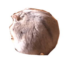 pontaponta