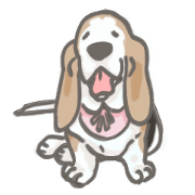 old basset