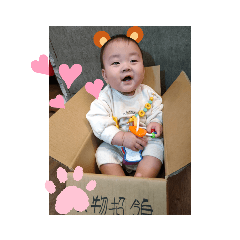 象寶恩恩上班中