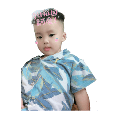 啊皮的逆襲 被退回好多次