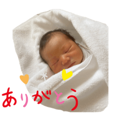 Mizuki_20210411100439