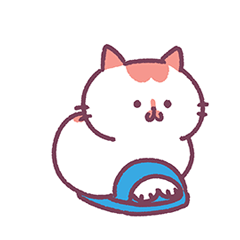 A cute, chubby cat