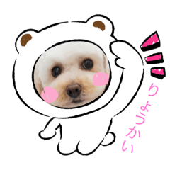 tomomi_20210411133316