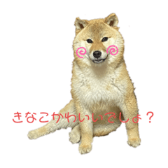 konatsu_20210411144931