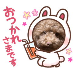 kuu_20210411134754