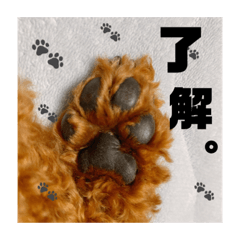 Ayumi_20210411162833