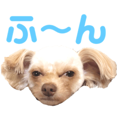 suzu_20210411161512