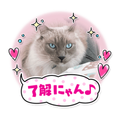 yuka_20210411170834